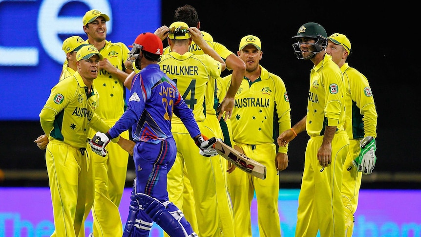 Australia celebrates after taking the wicket of Javed Ahmadi of Afghanistan
