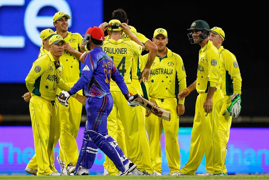 Australia celebrates after taking the wicket of Javed Ahmadi of Afghanistan