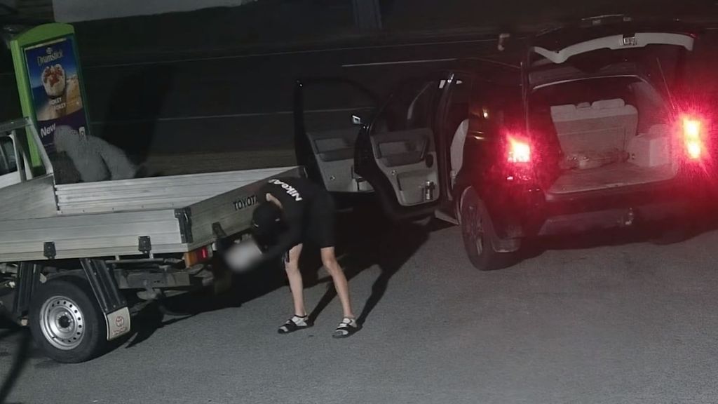 Police hunt for 'organised' thieves after $463k worth of catalytic converters stolen in a month - Vimarsana News