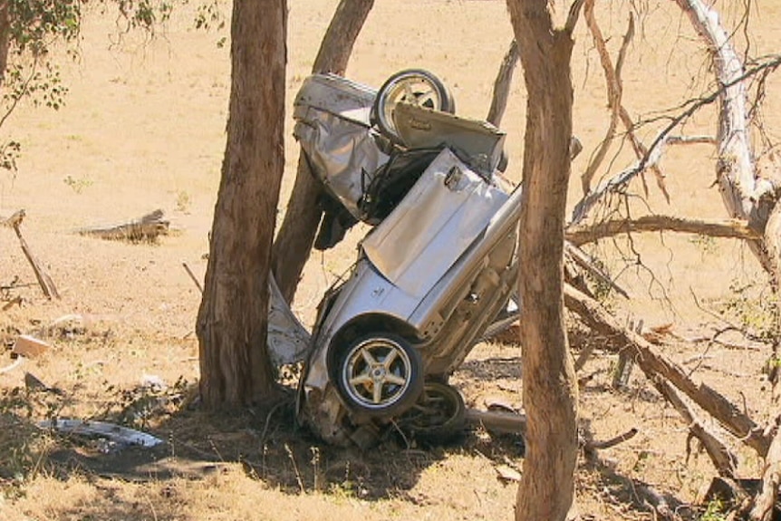 The car became airborne after hitting a wire rope barrier, police say.