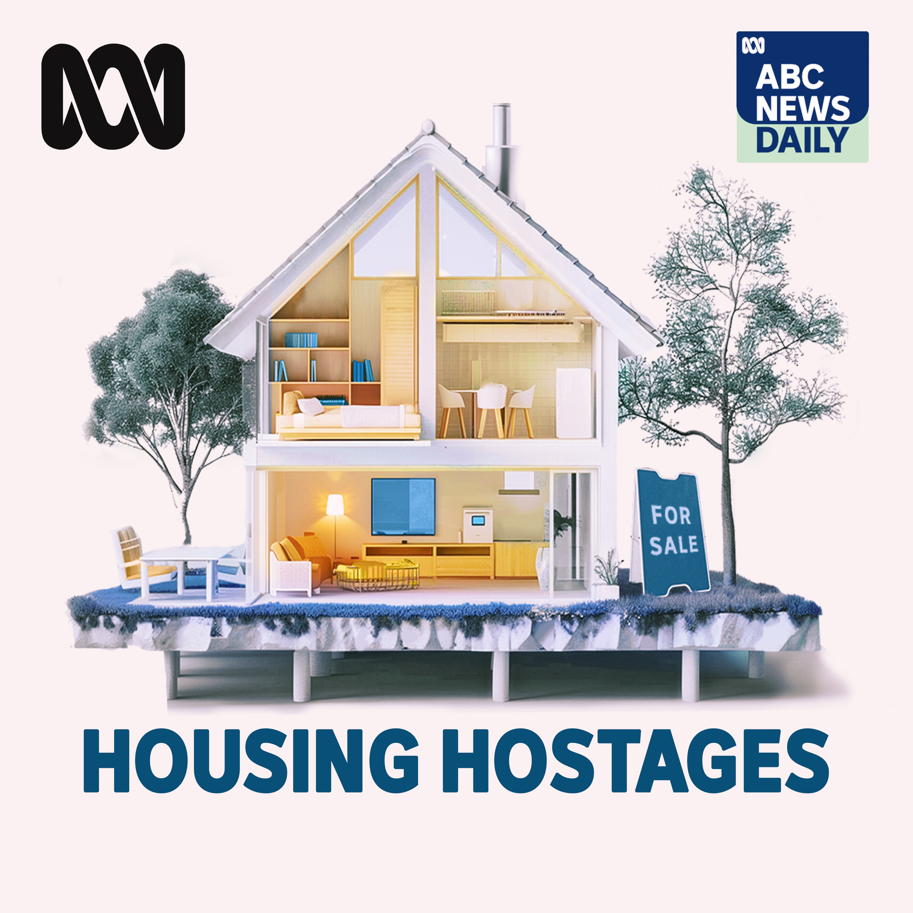 Housing Hostages: The great (investor) dream
