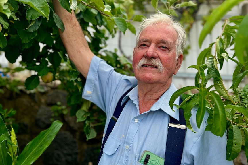 Tony stands among fruit trees looking into the distance.