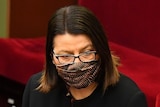 Jenny Mikakos, wearing a black jacket and a mask, stands at a microphone inside Victorian Parliament's red-carpeted Upper House.