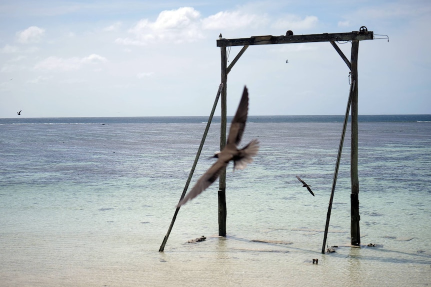 The remains of a gantry standing out of crystal clear water on the reef