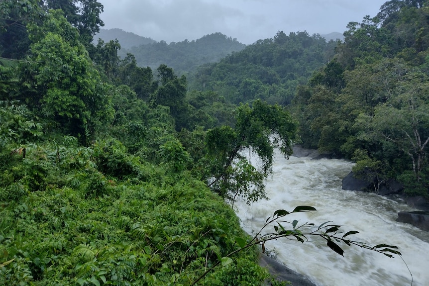 A flooded river