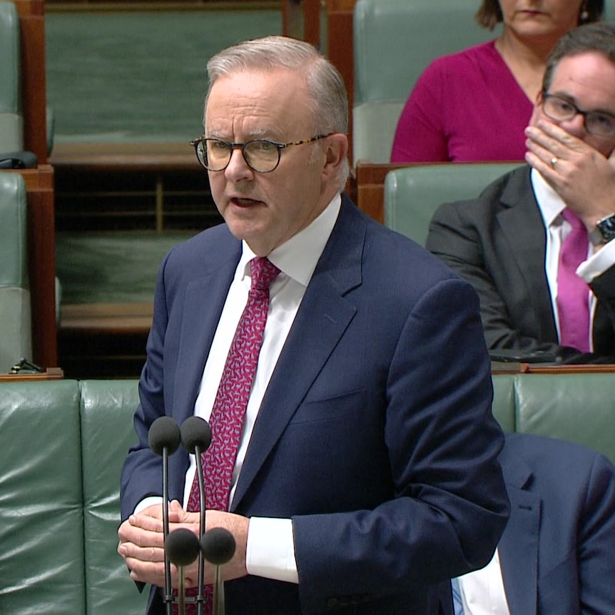 Anthony Albanese speaking at parliament.