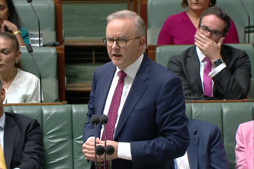 Anthony Albanese s'exprimant au Parlement.