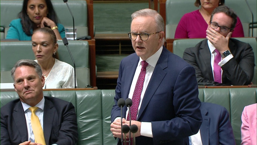 Anthony Albanese speaking at parliament.