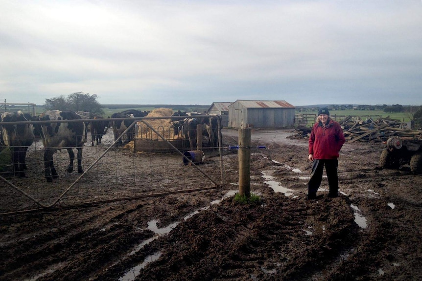 Dairy farmer Wendy Bell standing in a muddy paddock