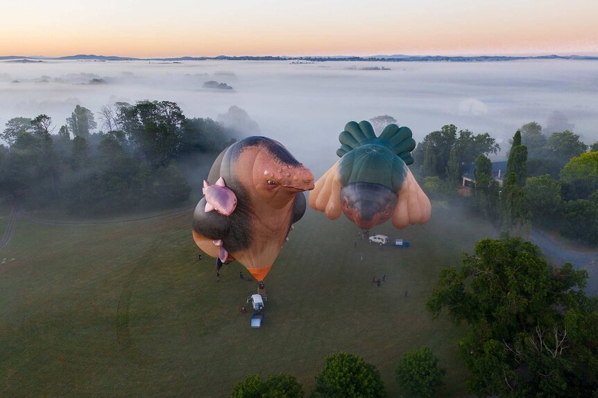 Two large whale-like ballon sculptures take flight.