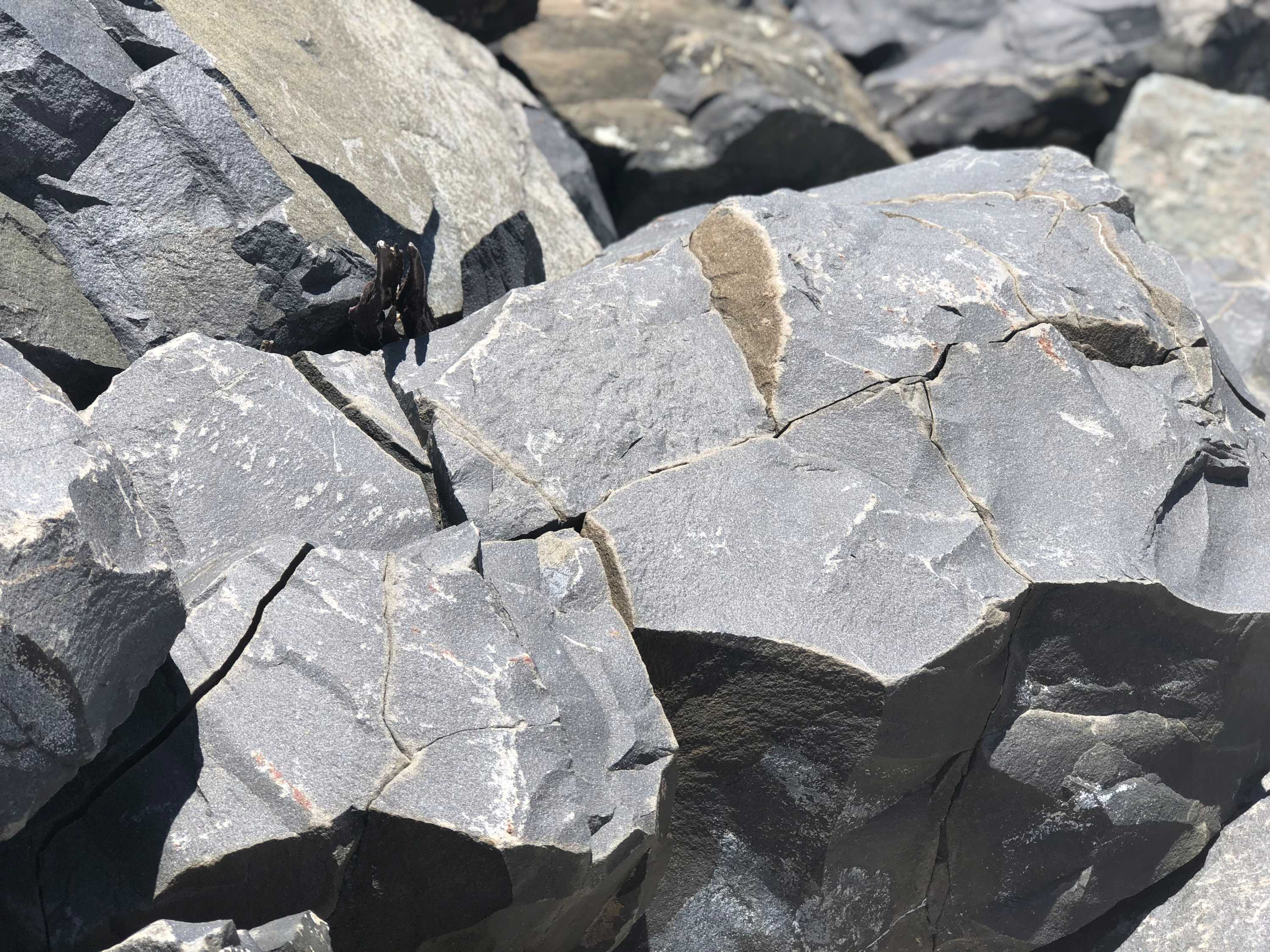 Calls for investigation over 'collapsing' sea wall on the Fraser Coast ...