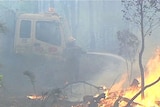 The WA Association of Volunteer Bush Fire Brigades and the WA Farmers Federation say any new country fire agency needs to be independent of government.