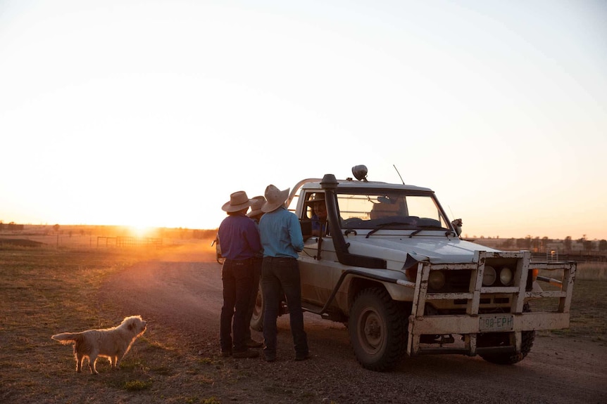 Three young women in hats stand at the side of a ute at sunset