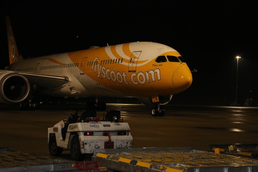 A Scoot plane at Perth airport taxiing into the terminal.