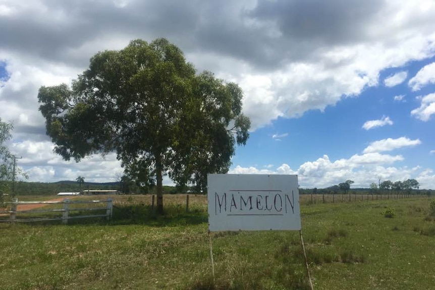 Clive Palmer is looking to open a new mine in central Queensland on his Mamelon station