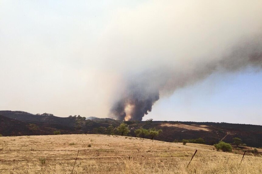 Flinders blaze still burning