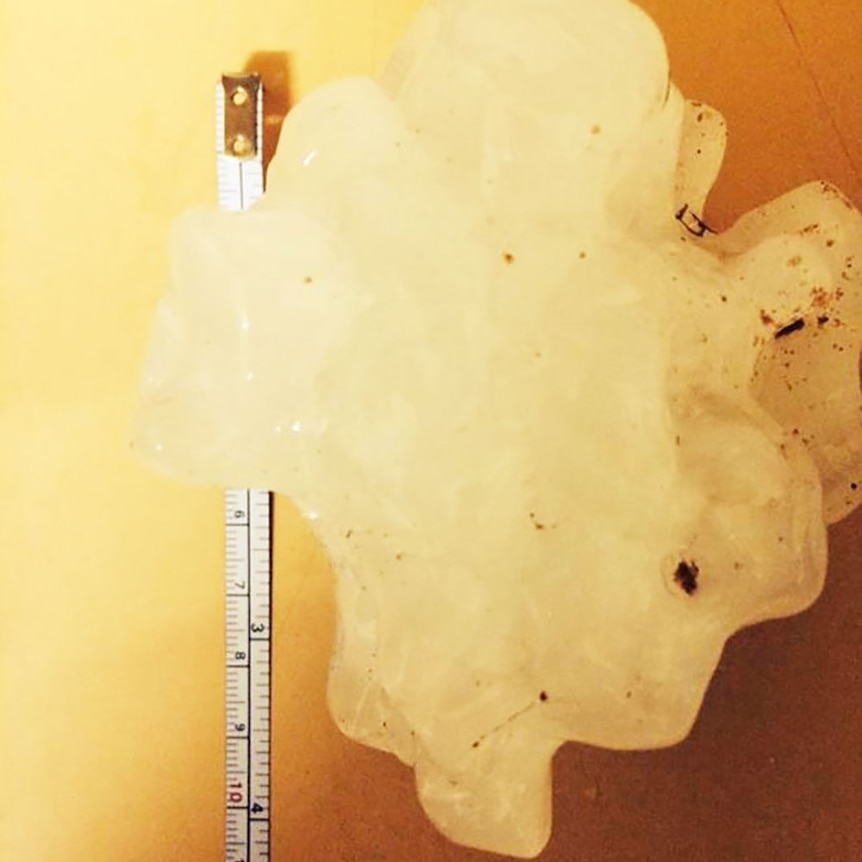 This massive shard of hail crashed down in Chinchilla on Saturday afternoon
