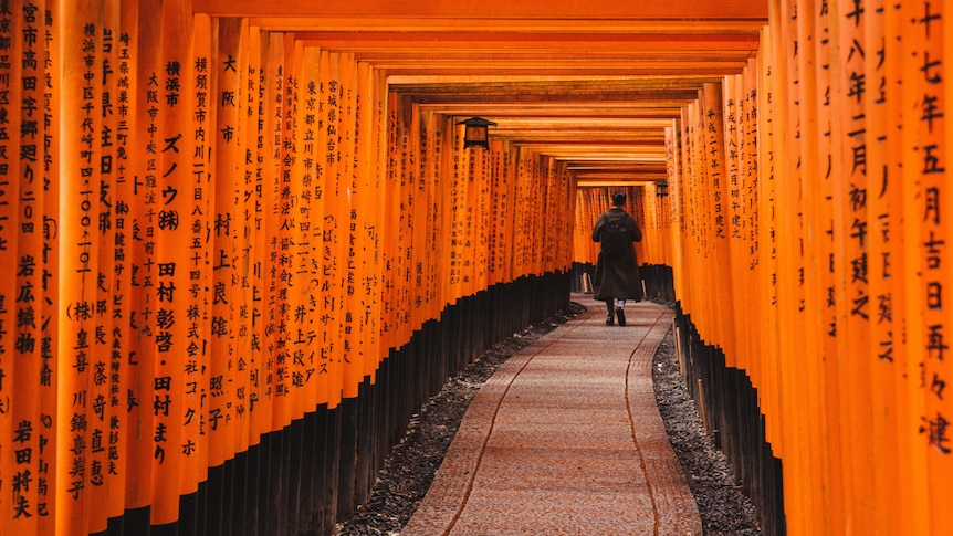 A man walking through the Fushimi Inari Shrine in Kyoto, Japan