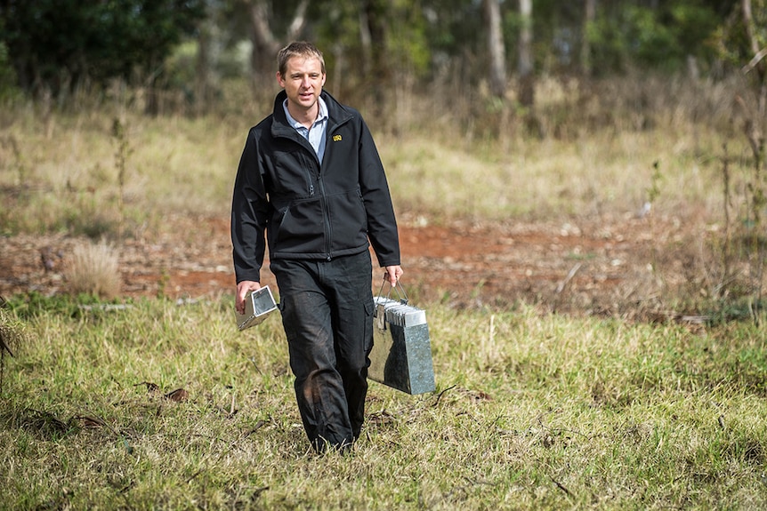 A man walks in bushland holding metal traps