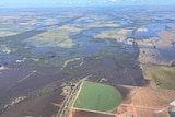 Flooded paddocks from the sky.