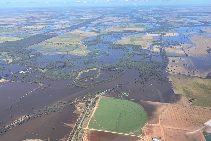 Flooded paddocks from the sky.