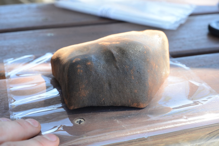 Freshly fallen meteorite found by the Desert Fireball Network