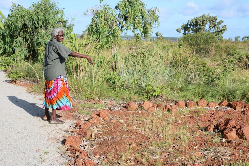 Djalinda Yunupingu points to a series of rocks on the ground.