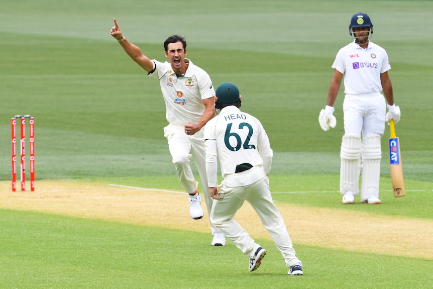 Mitchell Starc running away with his finger in the air after taking a wicket against India.