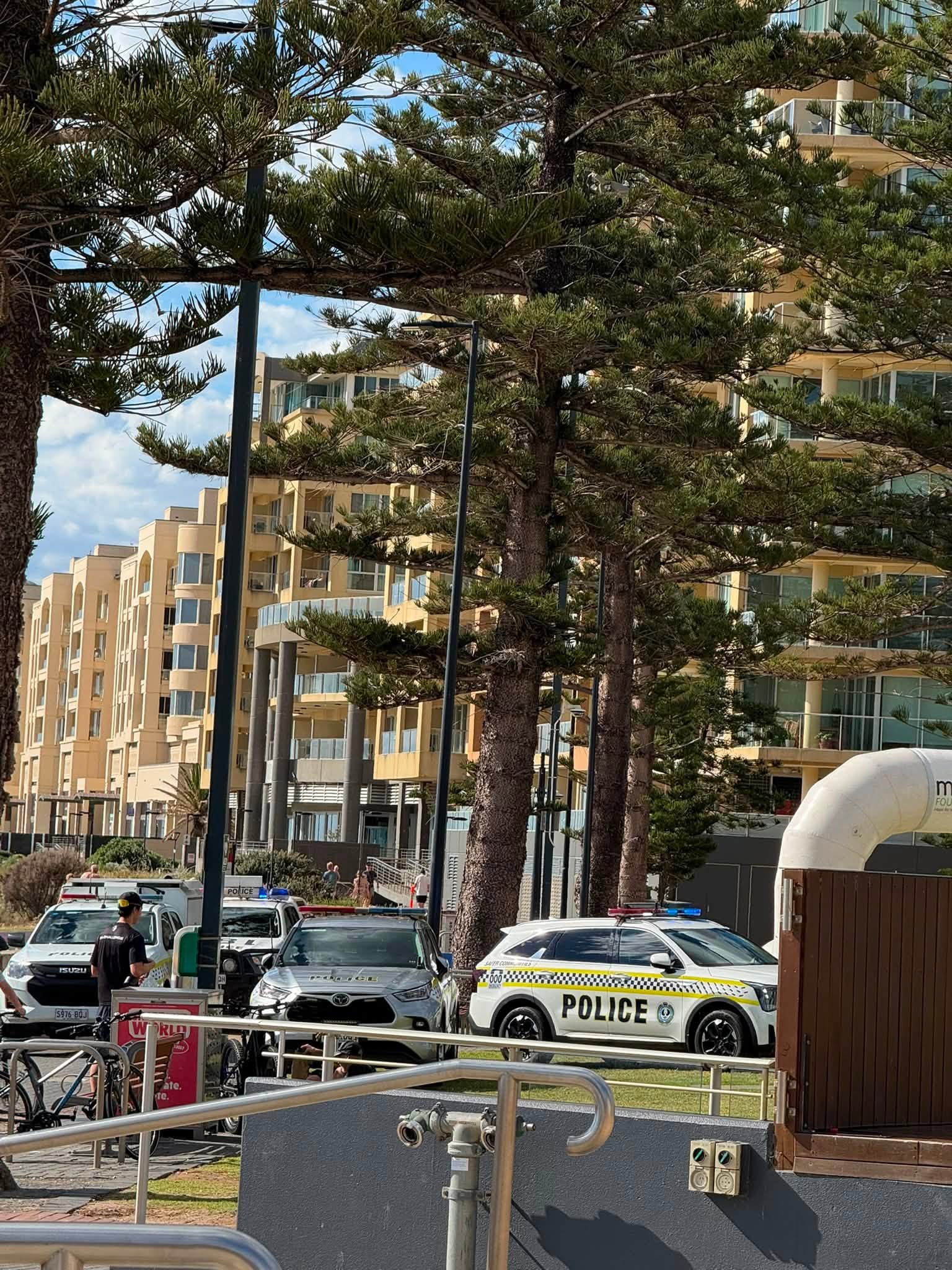 Two teenagers arrested after fight involving dozens of youth at Glenelg