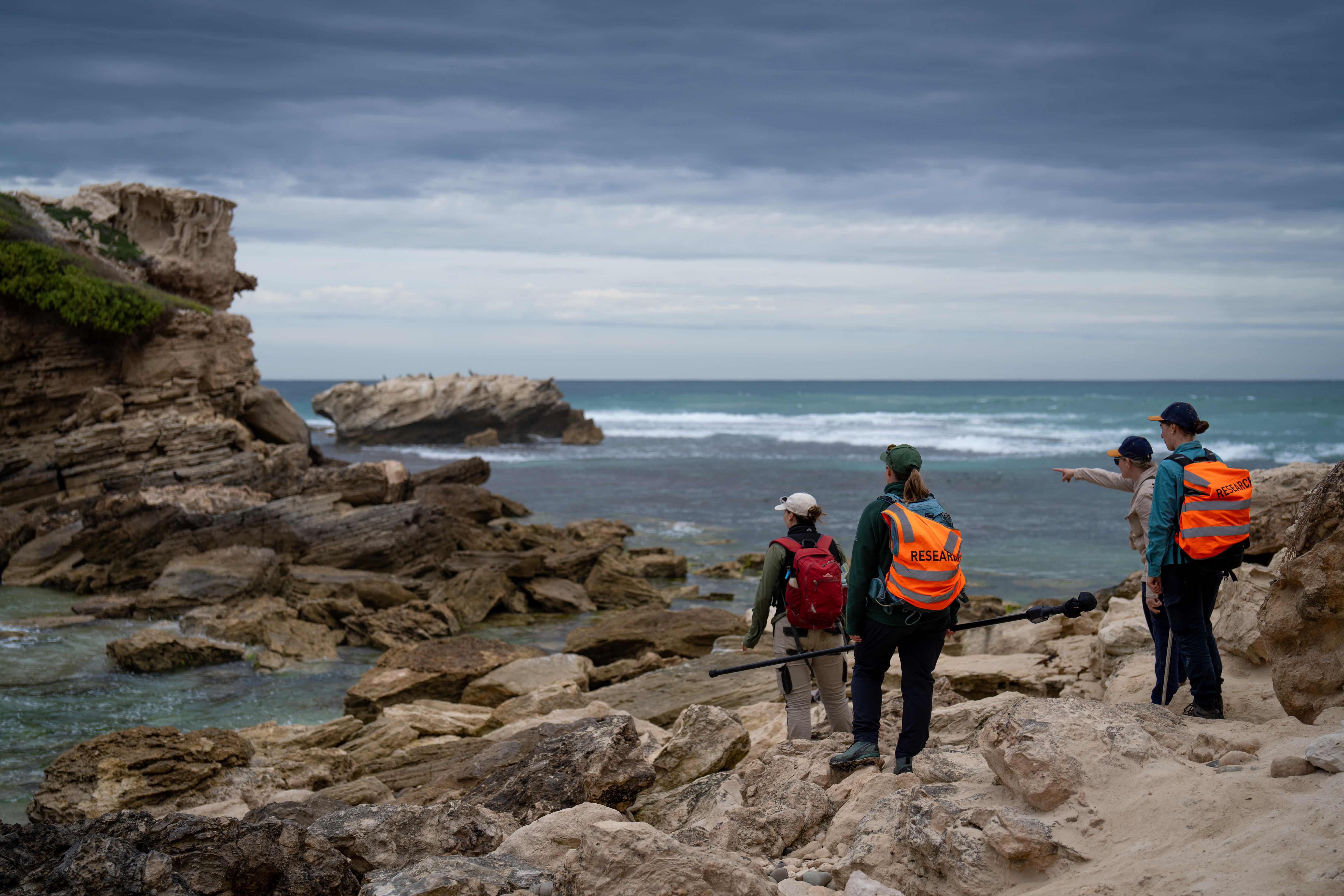 Um grupo de mulheres olha para o mar em busca de leões marinhos