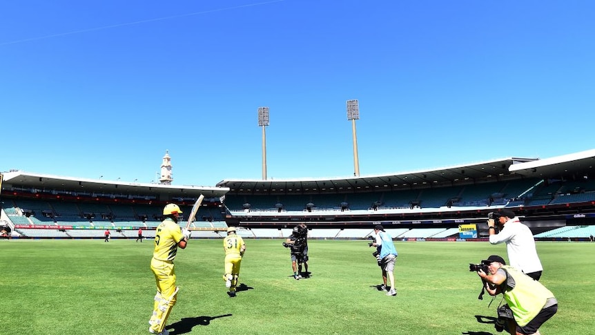Playing cricket to an empty stadium