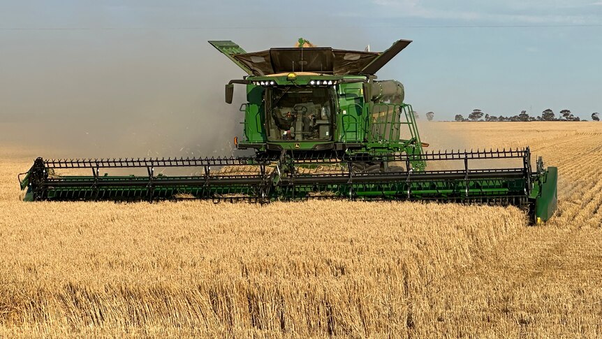 A harvester in a field of barley