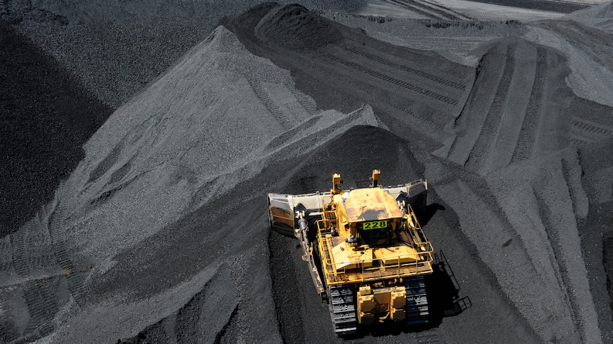 Coal is stockpiiled before being loaded onto ships.