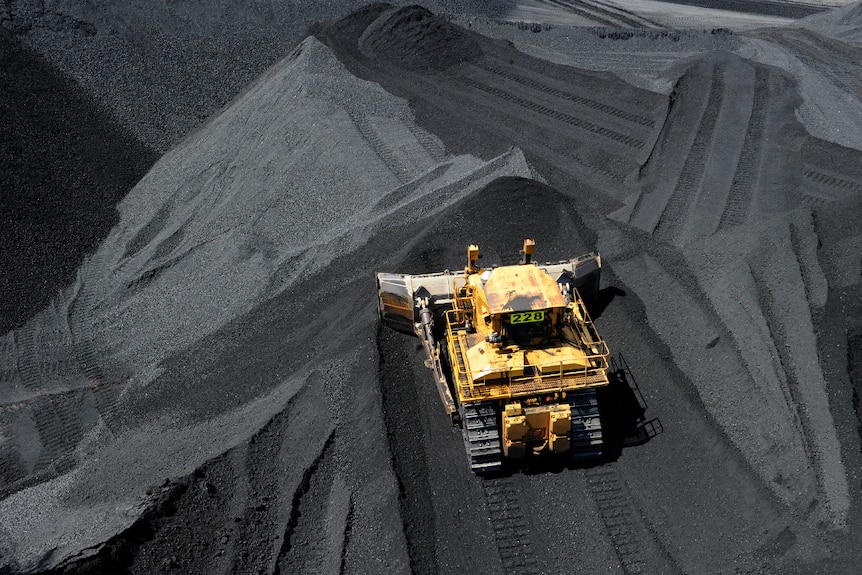 Coal is stockpiiled before being loaded onto ships.