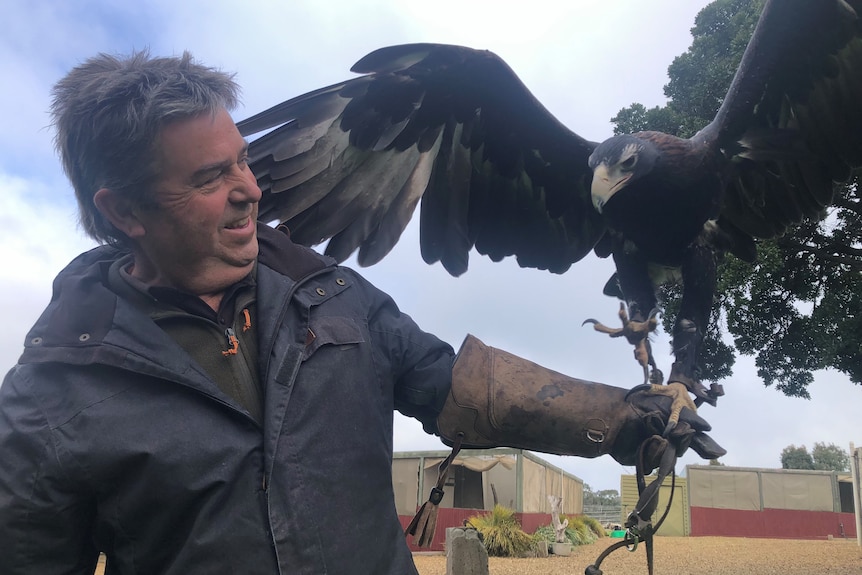Man with large eagle on a falconry glove.