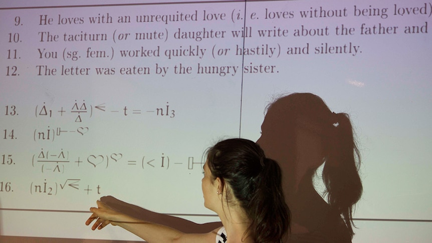 The linguistics workshop exposed students to a new area of computer science.