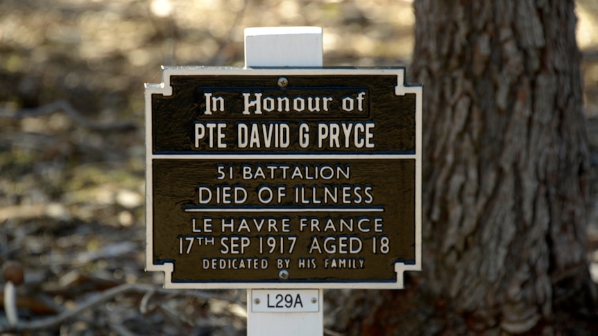Kings Park plaque honouring fallen soldier David Pryce