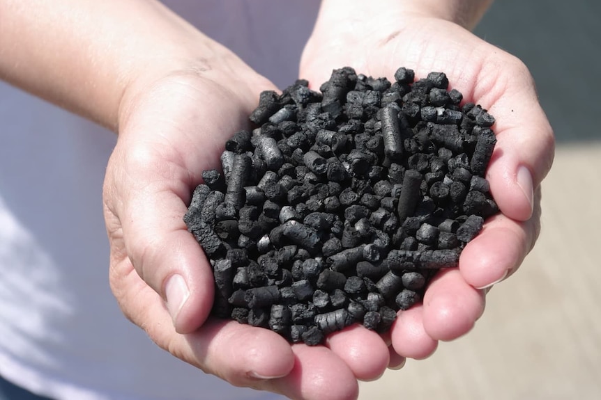 Two hand hold out a pile of black fertiliser pellets. 