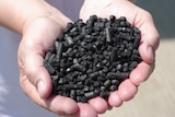 Two hand hold out a pile of black fertiliser pellets. 
