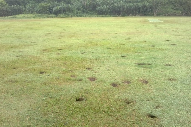 Crab holes in the Vanuatu cricket field.