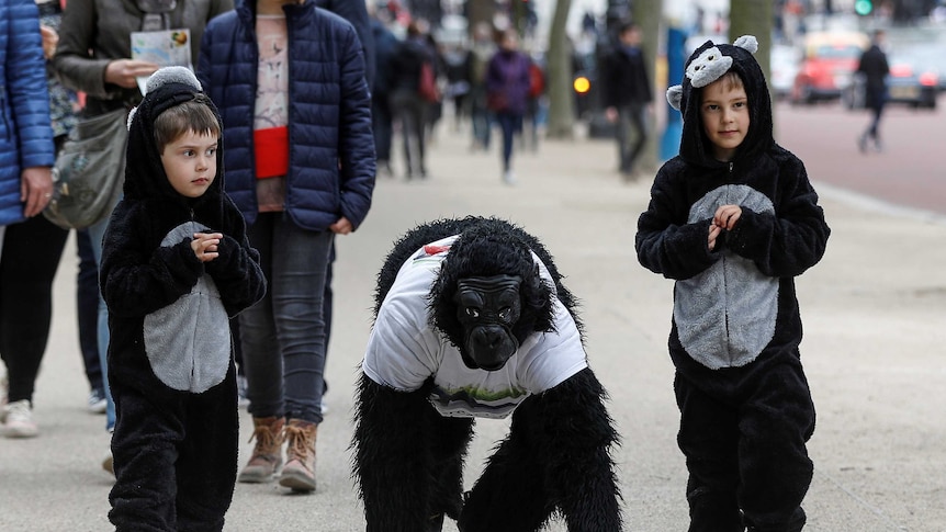 Two children in Gorilla suits walk next to Tom Harrison wearing a gorilla suit in the London marathon