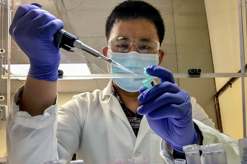 Dr Jinzhao Song wears a facemask and gloves and works in a lab.