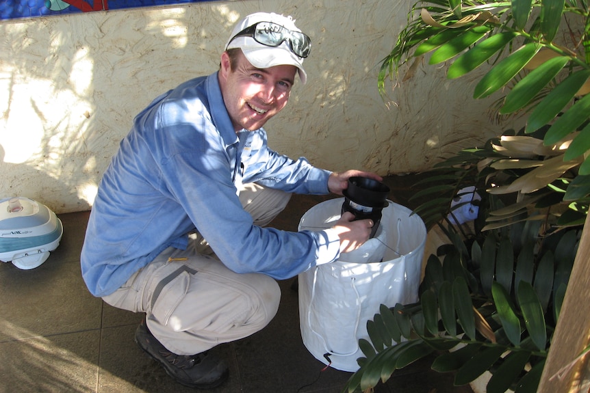 Smiling man in blue shirt, light pants, caps, glasses on top, squats, holds object over bucket in balcony , greenery.