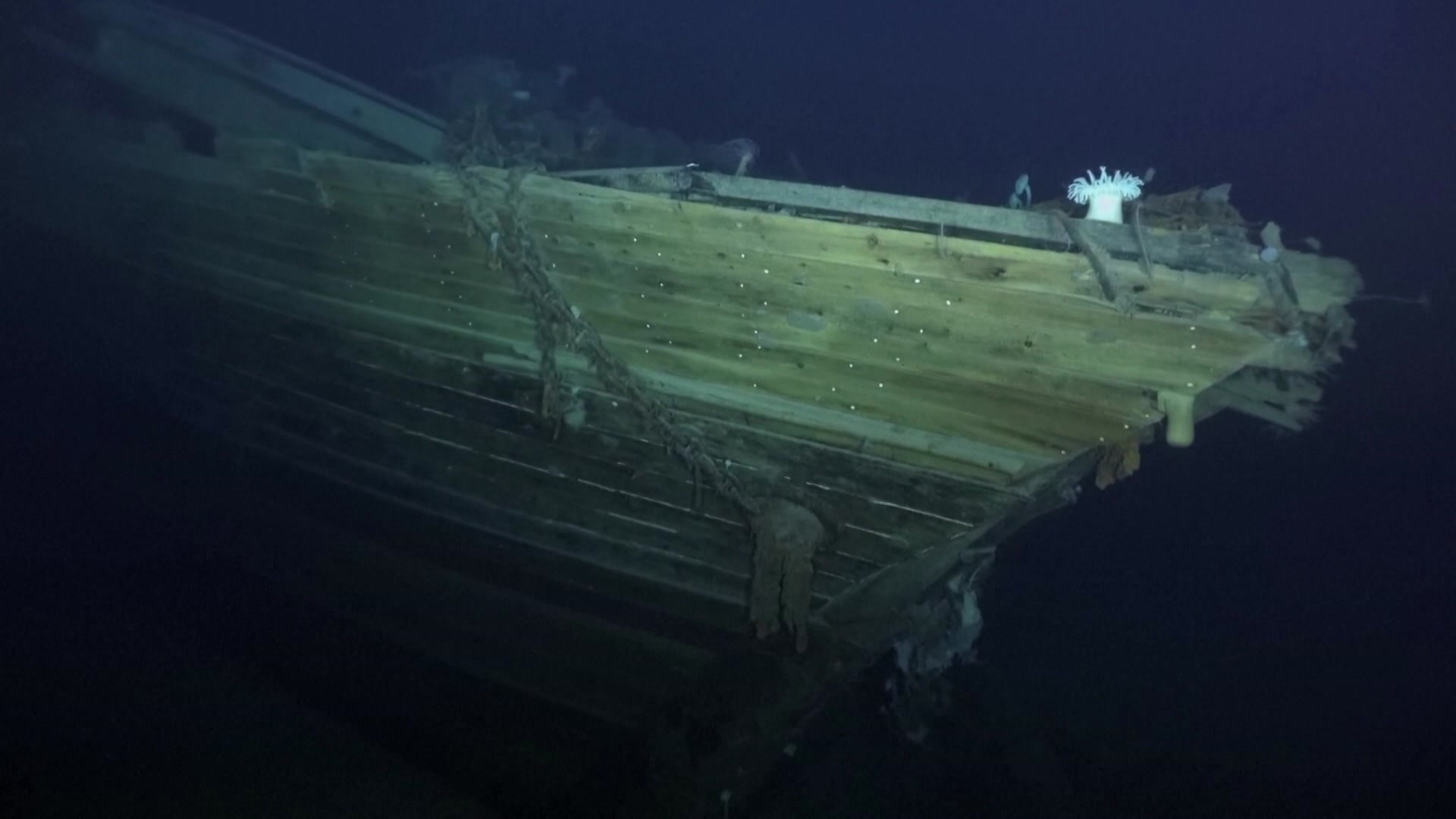 The side of the Endurance shipwreck found underwater.