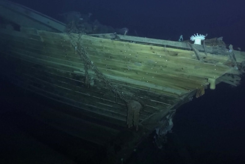 The side of the Endurance shipwreck found underwater.