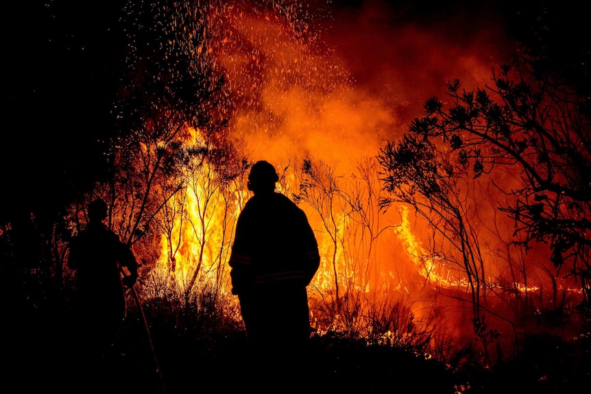 A firefighter stands in silhouette with flames burning in bushland.
