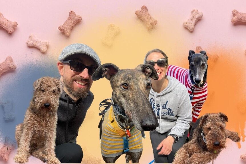 A Photshopped image of Travis Evans, his partner Nerida, and their hound Ricky, surrounded by other dogs.