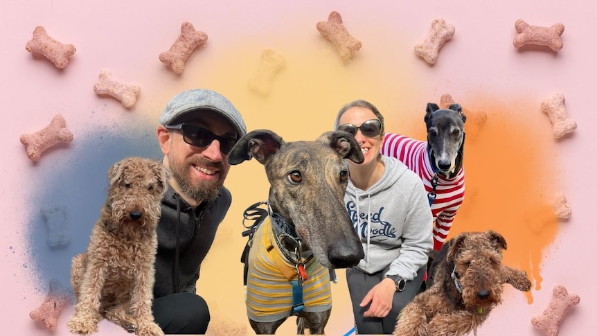 A Photshopped image of Travis Evans, his partner Nerida, and their hound Ricky, surrounded by other dogs.