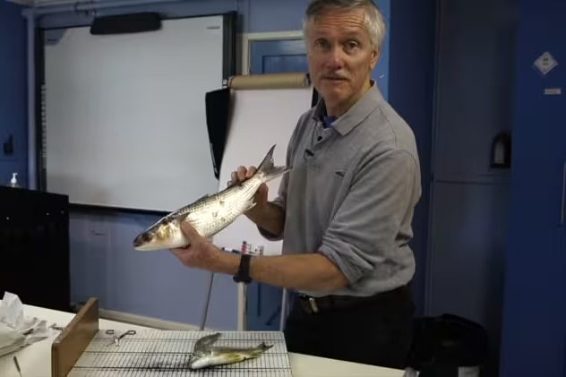 professor stands in lab holding a fish