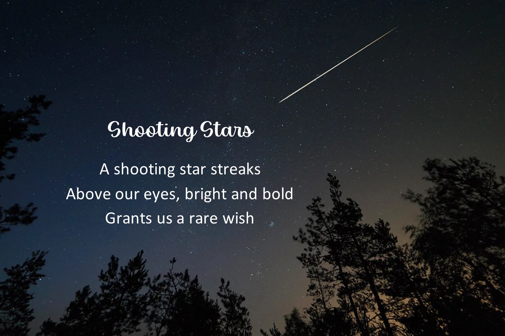 Winner of the Haiku Competition 2024 - ABC Education